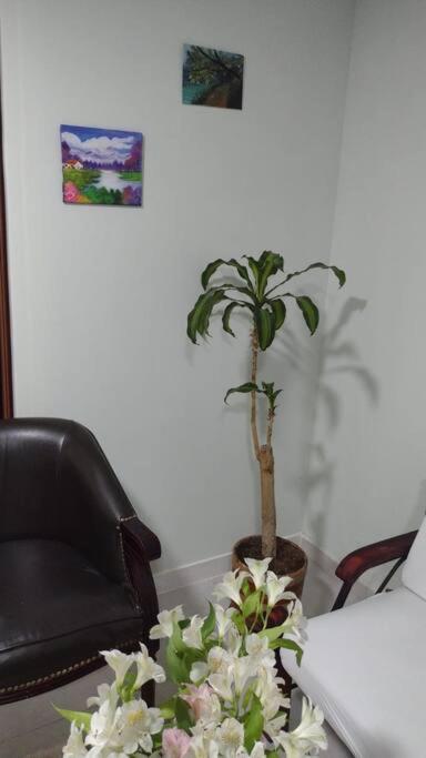 Apartamento Con Parqueadero Appartement